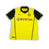 BVB Dortmund 2013-14
